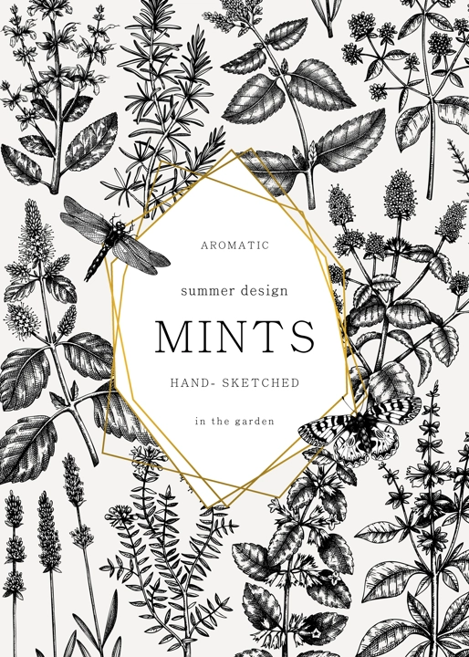 Hand-sketched Mints and Balms card or invitation design. Mints plants and insects illustration in vintage style. Medicinal herbs and summer flowers background. Herbal tea ingredients template.